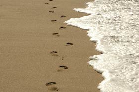 footprints